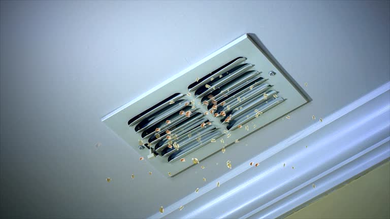 Best HVAC Maintenance and Cleaning  in Lipscom, AL